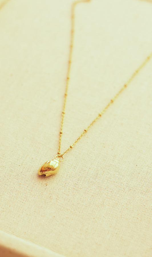 Sea Shell Golden Necklace